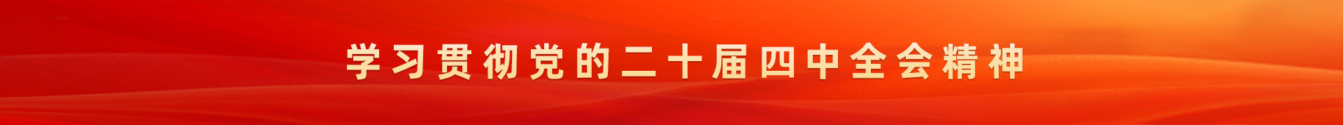 学习贯彻党的二十届四中全会精神