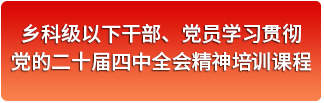 学习贯彻党的二十届四中全会精神培训课程